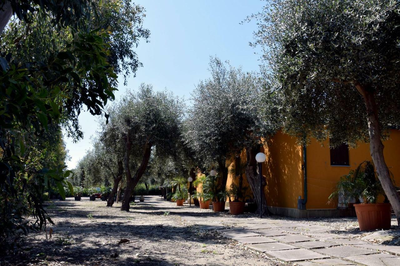 Riviera Degli Eucalipti - Cottage In Riva Al Mare 阿奇雷亚莱 外观 照片