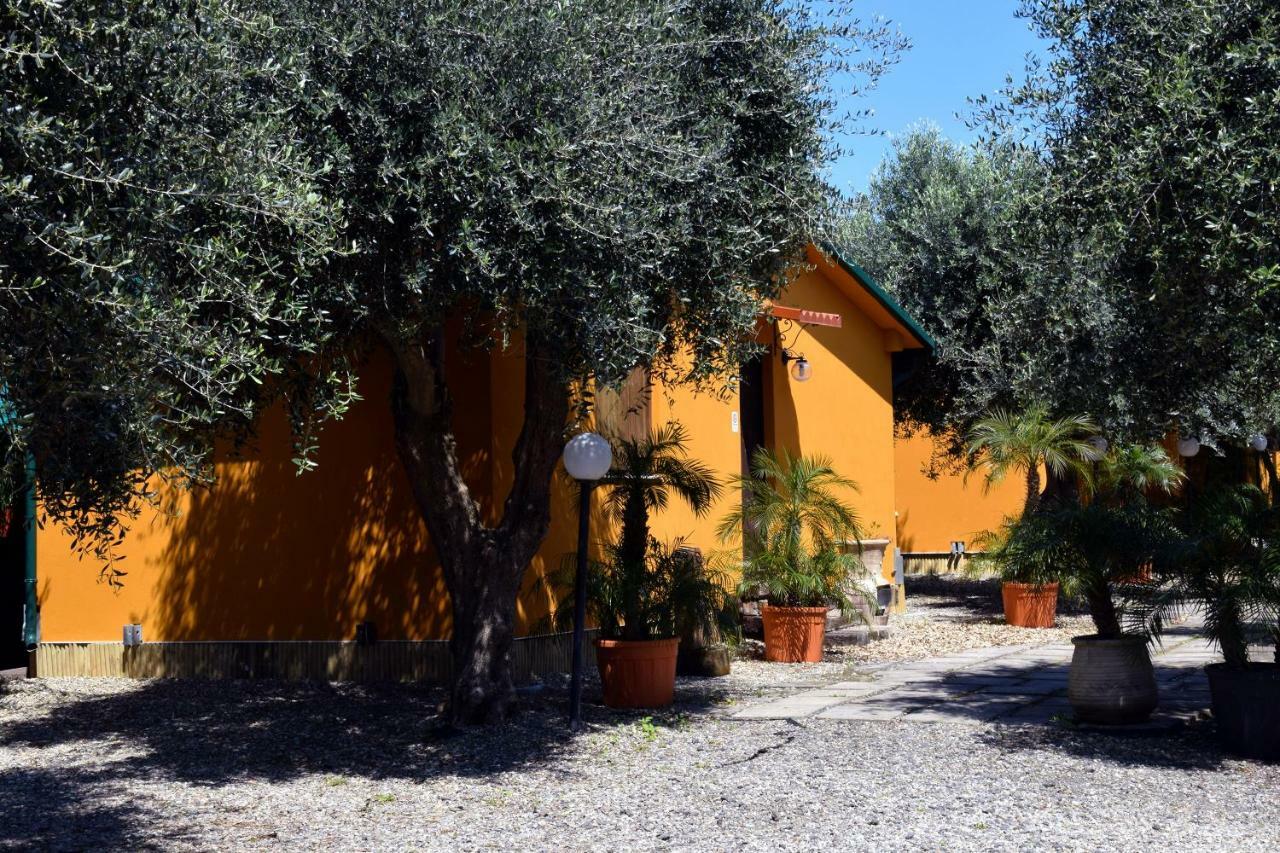 Riviera Degli Eucalipti - Cottage In Riva Al Mare 阿奇雷亚莱 外观 照片