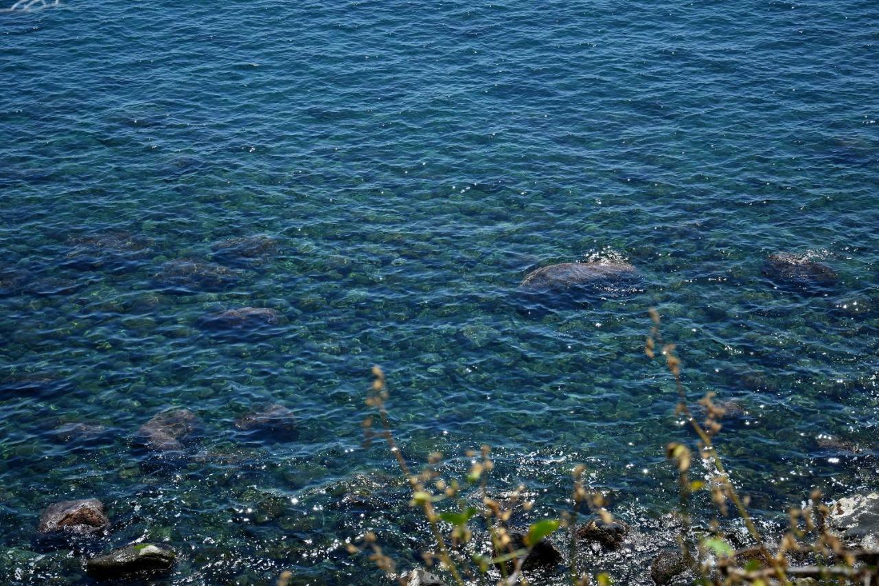 Riviera Degli Eucalipti - Cottage In Riva Al Mare 阿奇雷亚莱 外观 照片