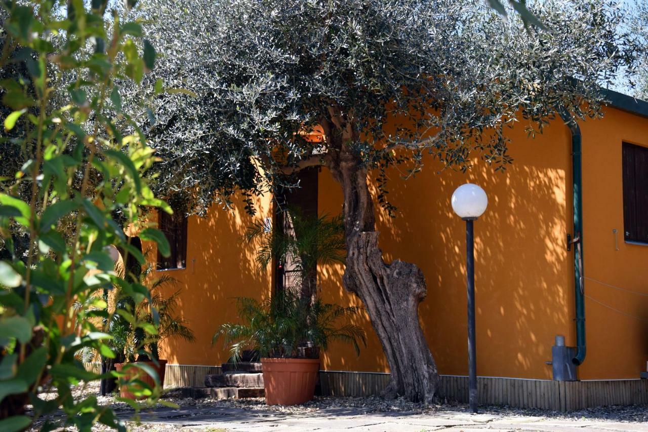 Riviera Degli Eucalipti - Cottage In Riva Al Mare 阿奇雷亚莱 外观 照片