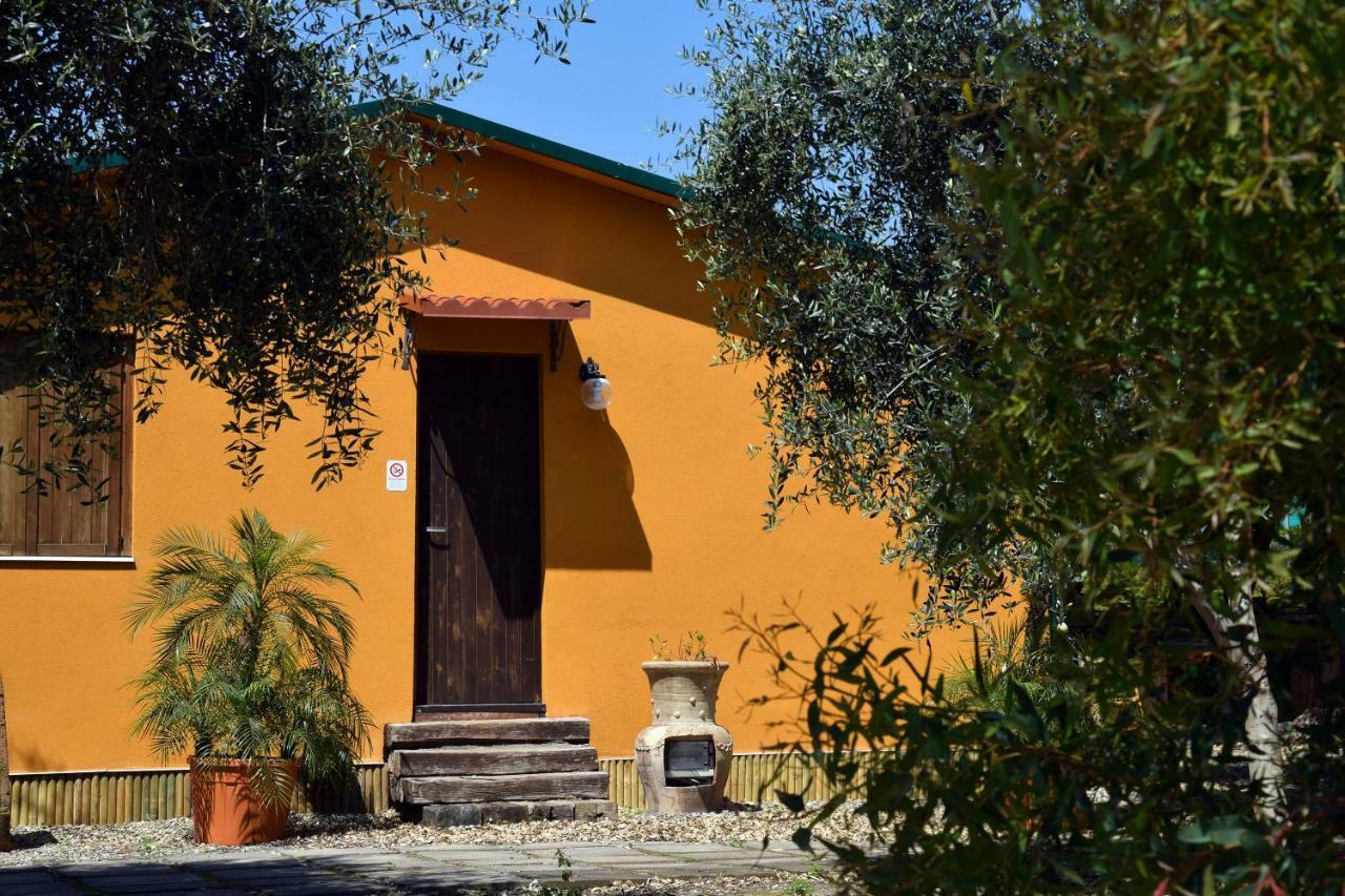 Riviera Degli Eucalipti - Cottage In Riva Al Mare 阿奇雷亚莱 外观 照片