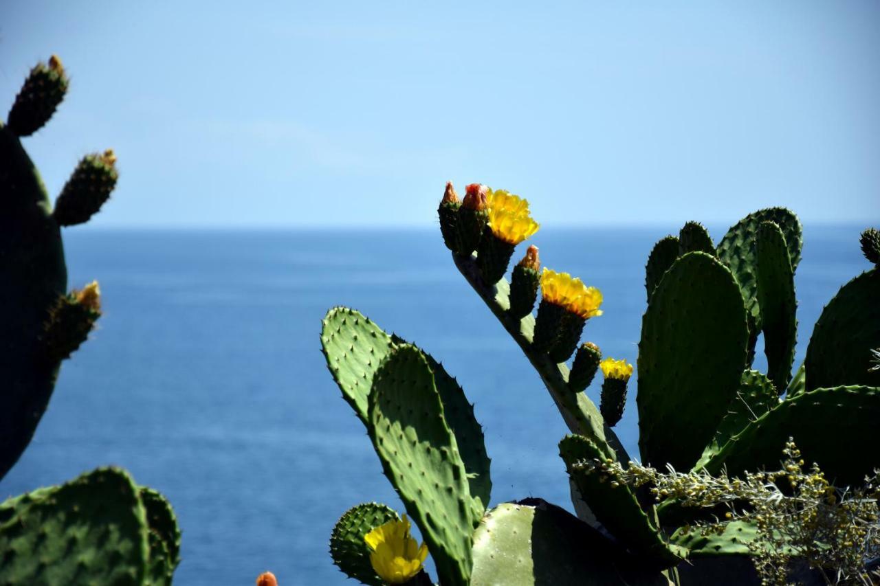 Riviera Degli Eucalipti - Cottage In Riva Al Mare 阿奇雷亚莱 外观 照片
