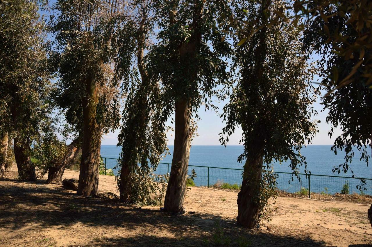 Riviera Degli Eucalipti - Cottage In Riva Al Mare 阿奇雷亚莱 外观 照片